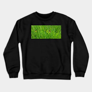 Summer Meadow Crewneck Sweatshirt